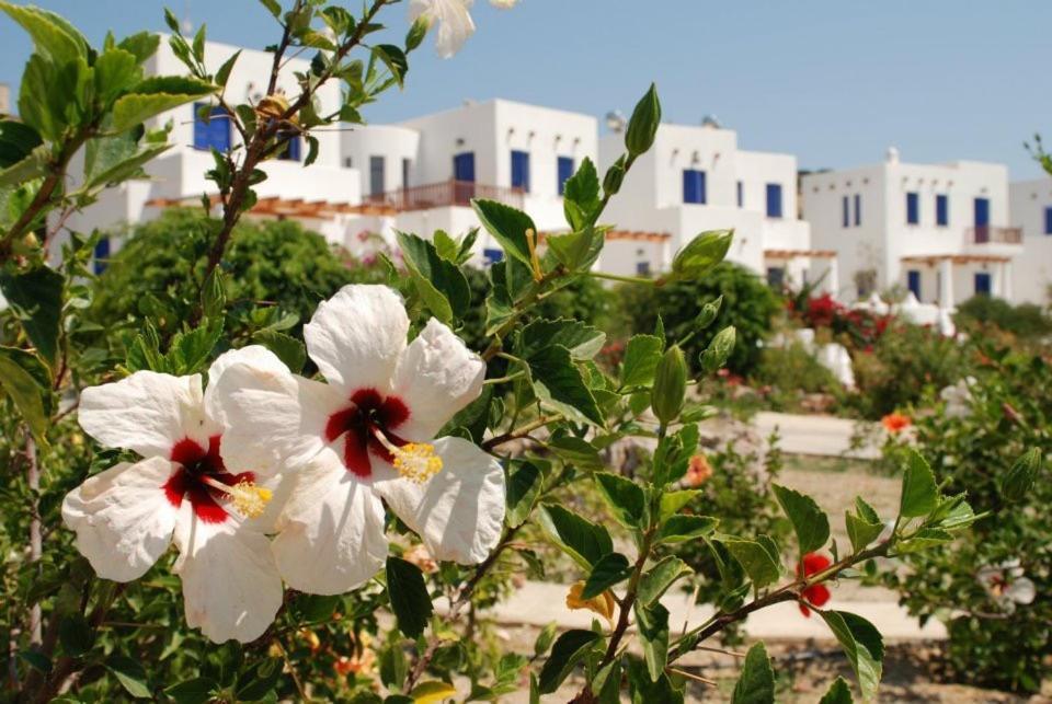 Lipsoí Niriedes Villas מראה חיצוני תמונה
